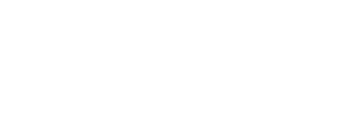 NMDC Engineering Logo